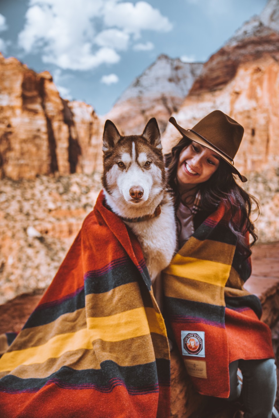 A husky dog stares at the camera in Zion National Park.