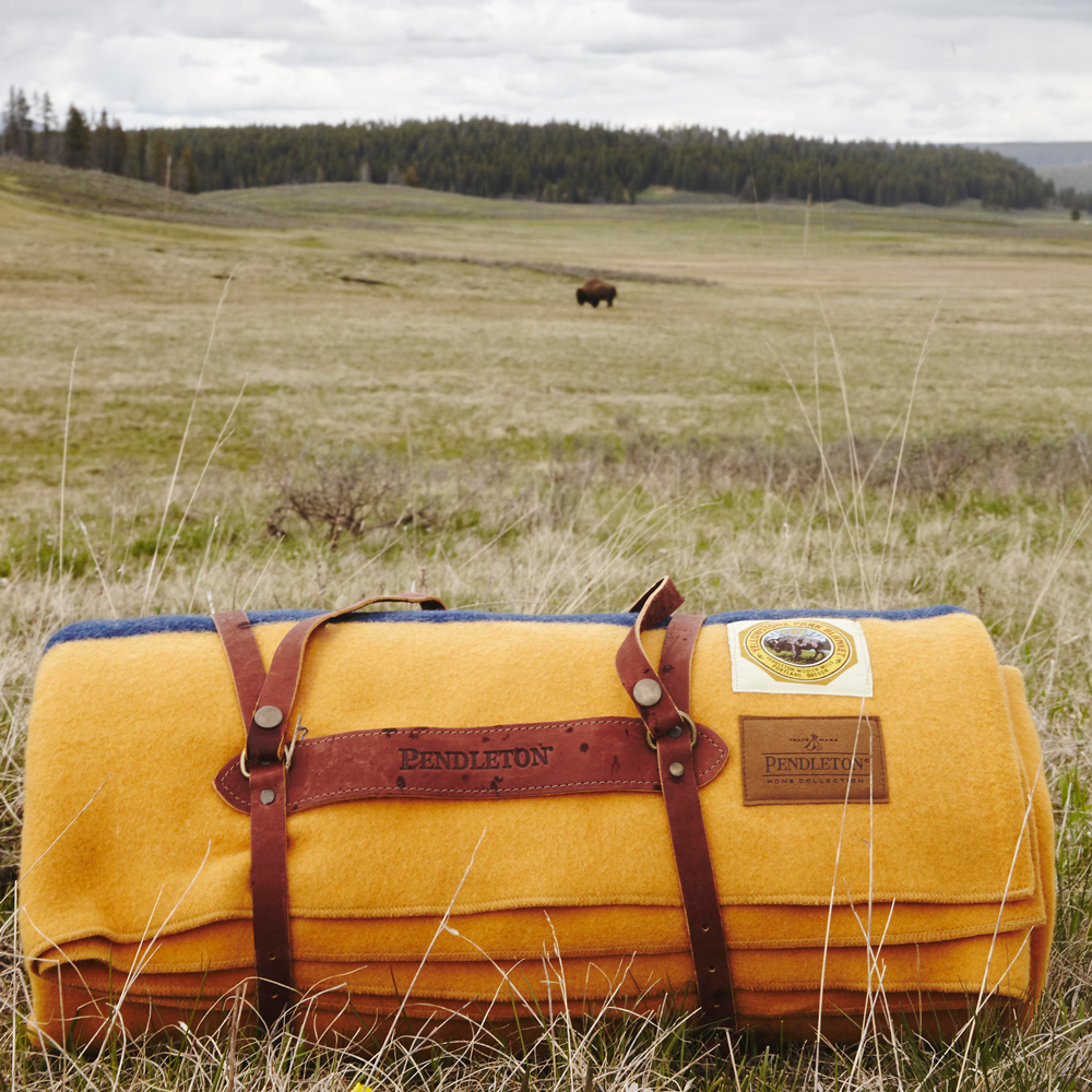 OurFreeWays_ The Yellowstone blanket, rolled in a leather carrier, with a bison in the distance