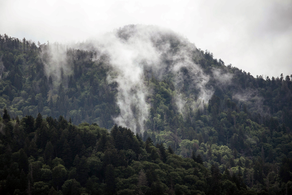 Matthews_ Mountains covered with mist that looks like smoke