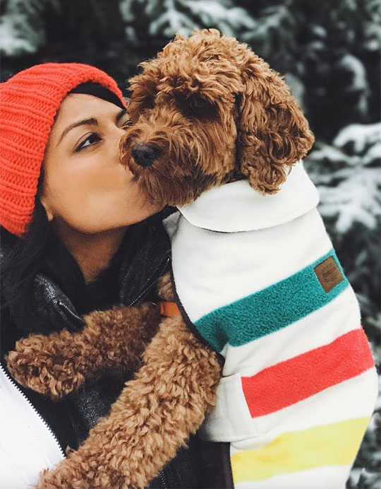 A young woman kisses her goldendoodle puppy