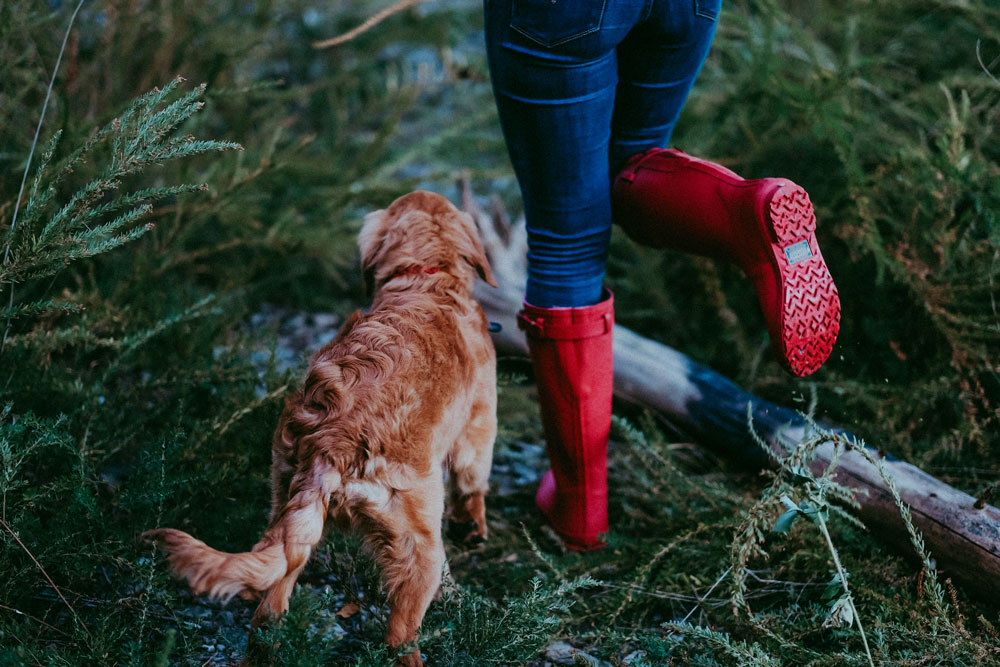 A woman in jeans and red Pendleton rain boots steps over some wet, mossy bracken, with her red dog.