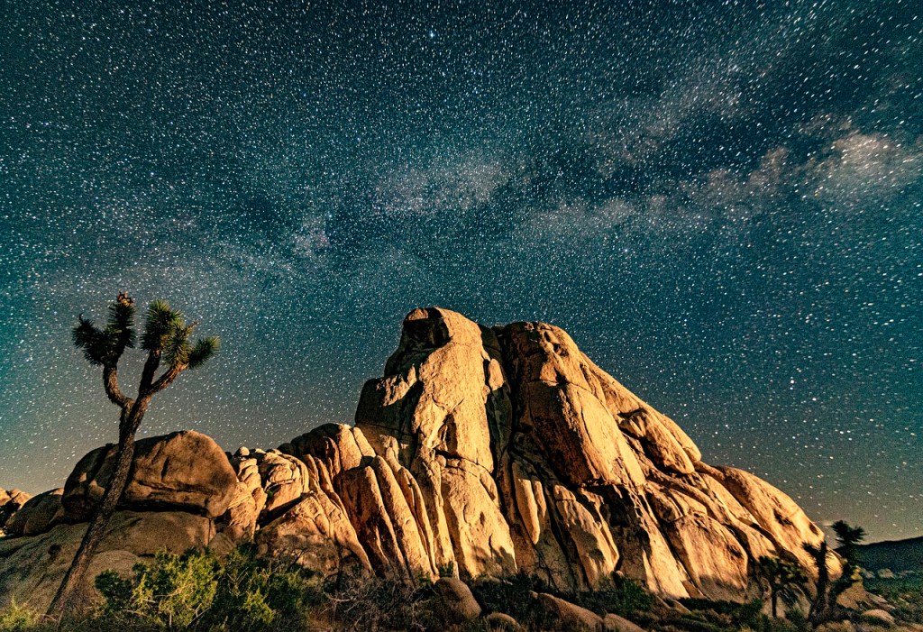 night sky over Joshua Tree National Park.