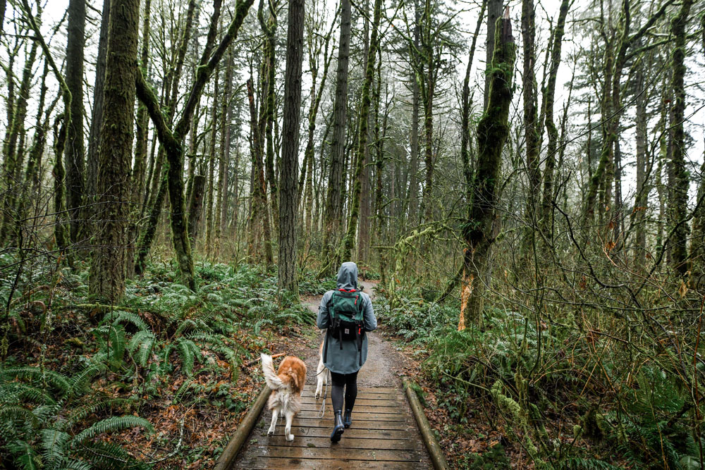 A woman wearing a Pendleton rain slicker walks her dog in a mossy, ferny forest.