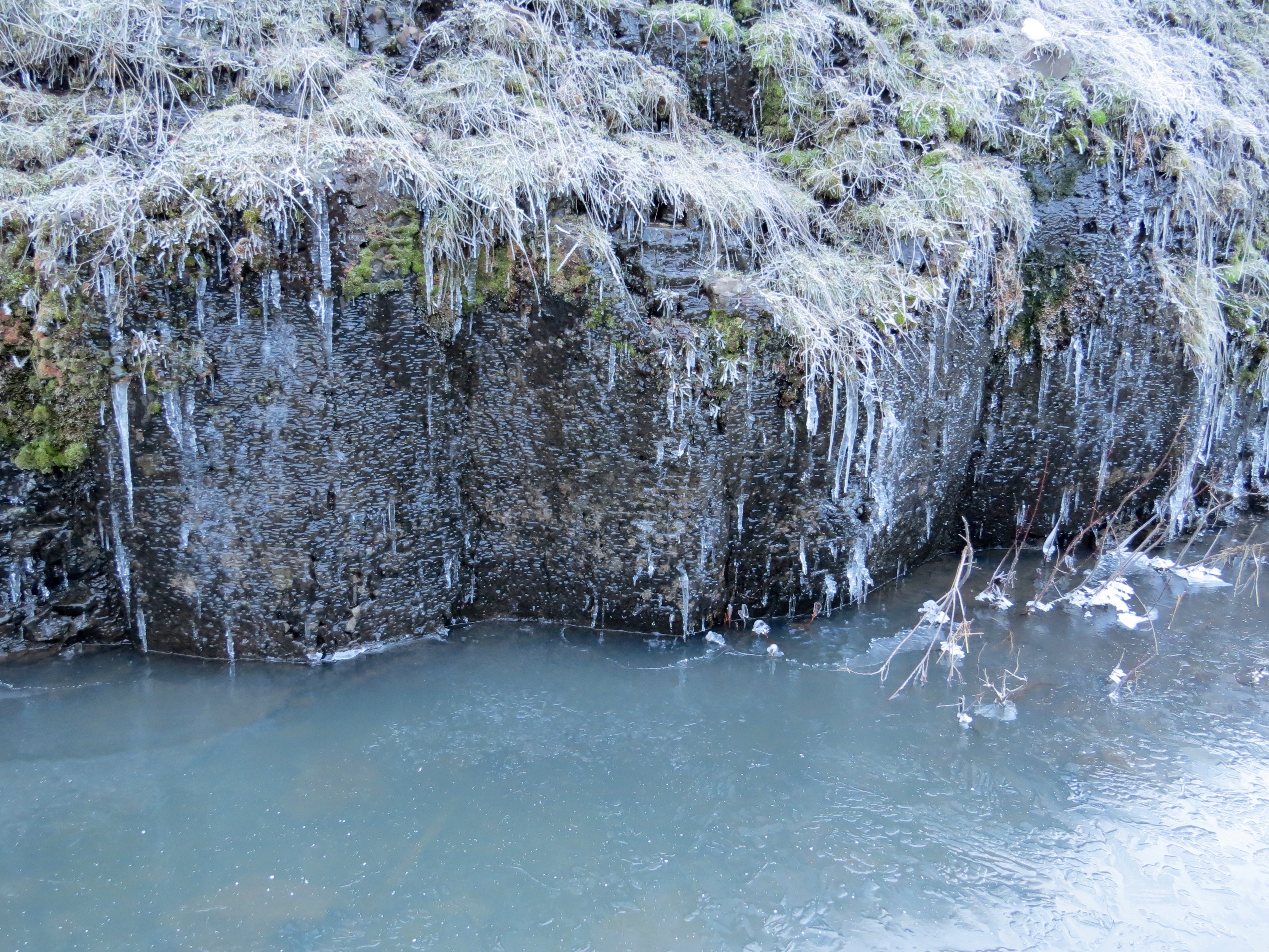 Icy riverbanks, frosty vegetation. 