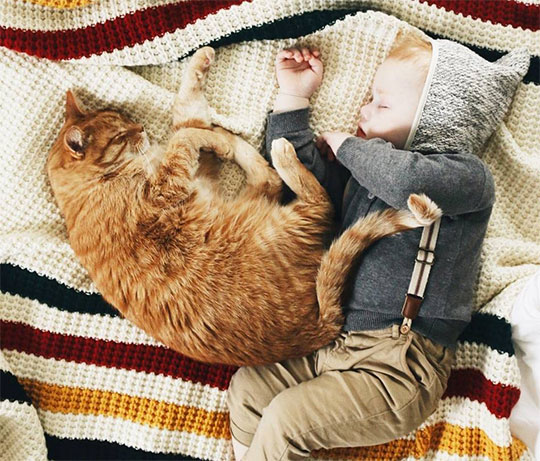 A baby and an orange cat sleeping on a Pendleton striped throw