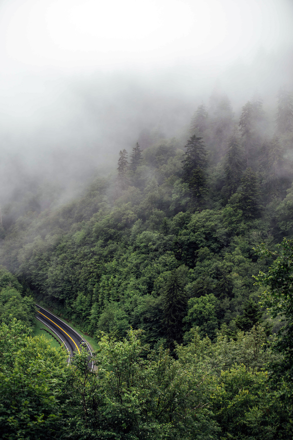 Matthews_ Misty mountainsides