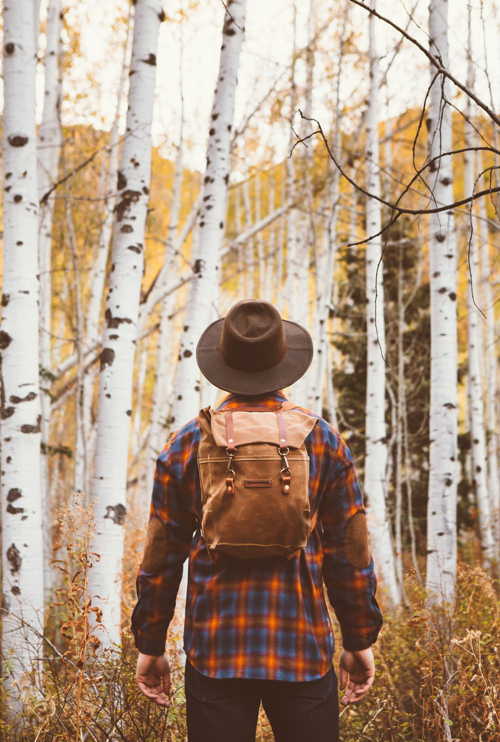 Brandon-Burk-Photography: A man in a plaid shirt and hat with his back to the camera in front of an aspen grove.