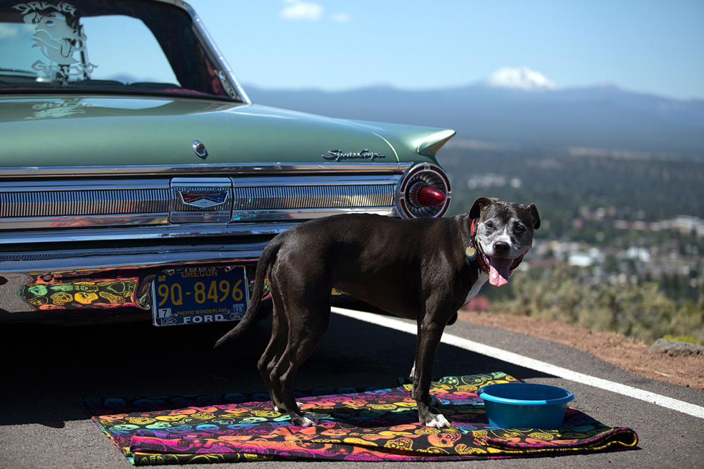 Danimal and Lola Jane, Pendleton wool blanket, photography Skyler Hughes