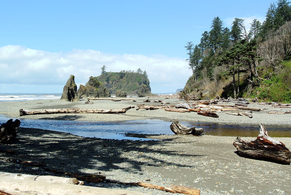 A photo of Cedar Creek emptying into the Pacific Ocean in Olympic National Park. 